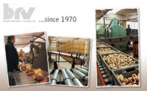 BRV Srl Azienda